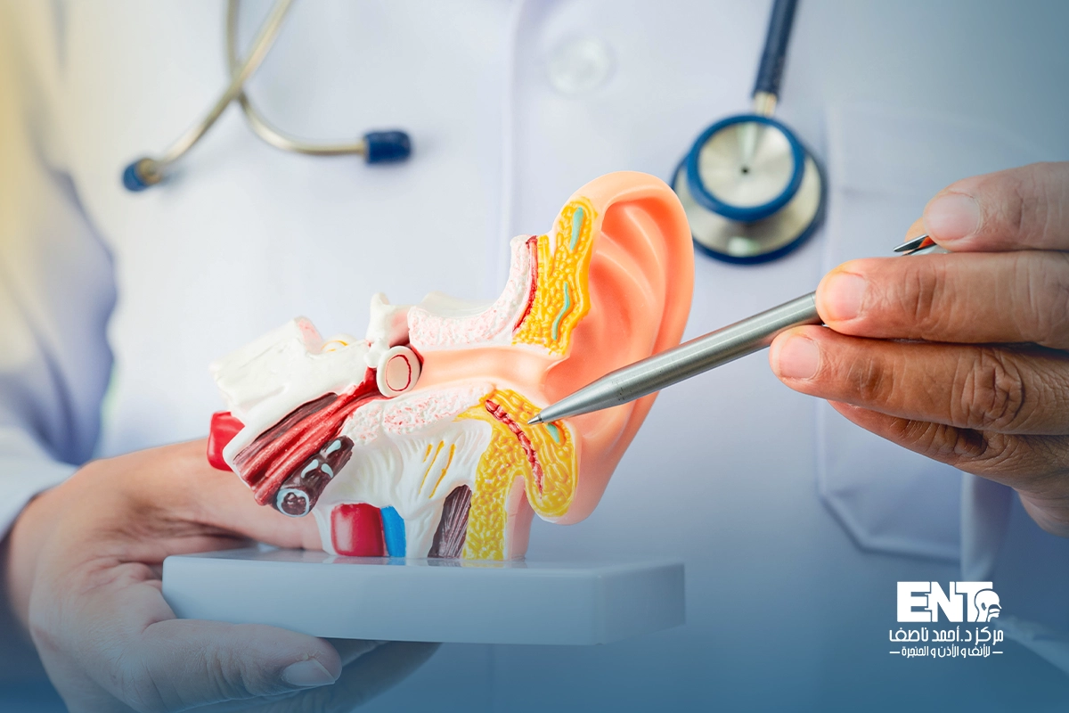 افضل دكتور انف واذن وحنجرة في دمياط الجديدة (2)